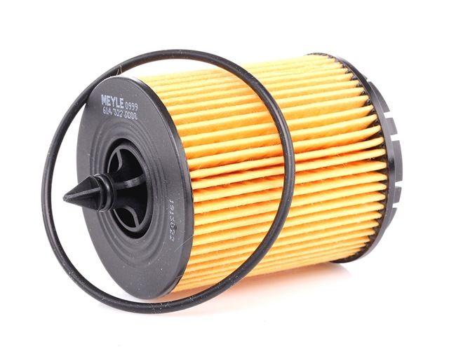 Numero OEM 7176 9199 - Filtro olio 614 322 0008 FIAT, OPEL, ALFA ROMEO, LANCIA, SUZUKI