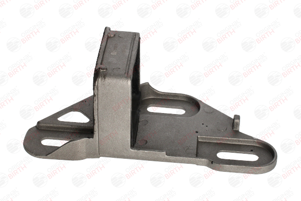 Uitlaat beugel 7309 BIRTH RENAULT Clio II Hatchback (BB, CB) 1.2 (BB0A, BB0F, BB10, BB1K, BB28, BB2D, BB2H, CB0A,... 2008 58 Pk