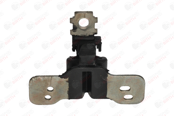Halter, Abgasanlage 7738 BIRTH RENAULT Scénic III (JZ0/1_) 1.5 dCi (JZ02, JZ0R) 2011 95 PS