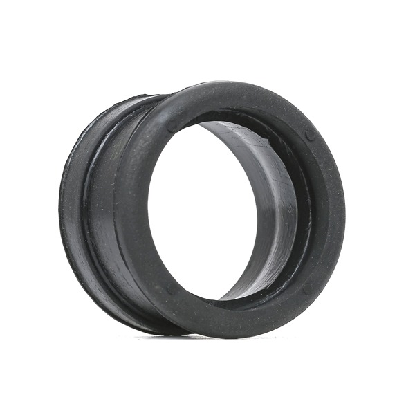 SEIM 981509 Intercooler pipe RENAULT CLIO 2 (BB0/1/2, CB0/1/2) 1.5 dCi 68 hp Diesel 2007