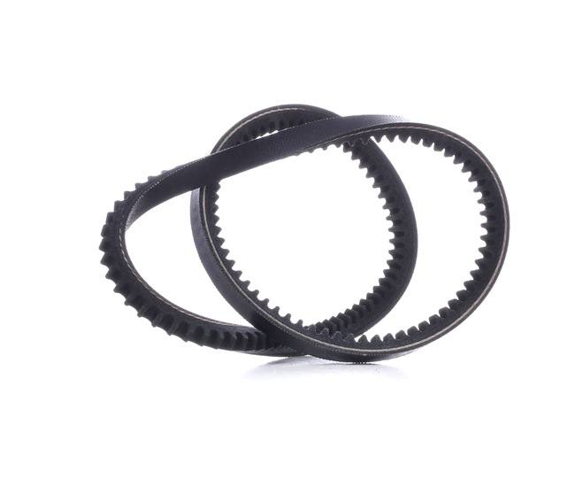 V-Belt AVX-10X710-PCS-MS MASTER-SPORT 007027
