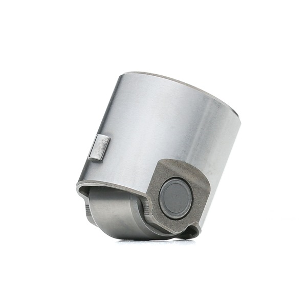 Hochdruckpumpe B18195 Borsehung SKODA Octavia III Combi (5E5) 1.4 TSI G-TEC 2013 110 PS