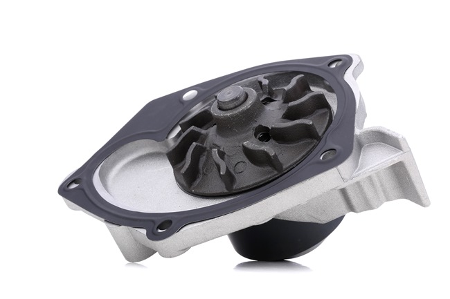 VALEO 506698 Pompe à eau Laguna 3