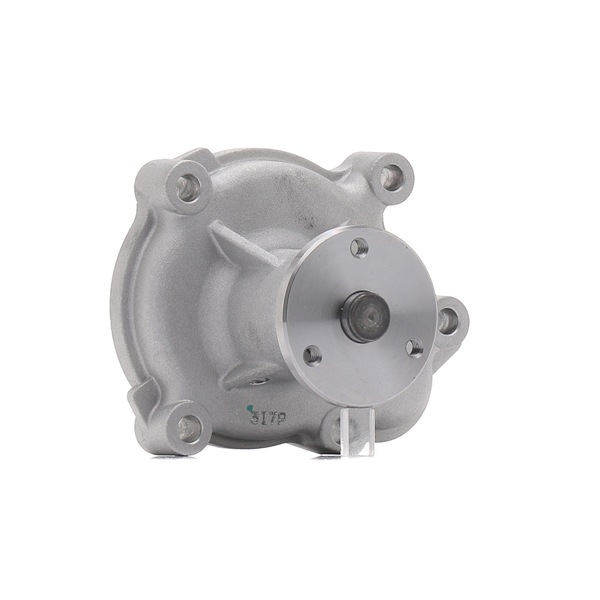 DP276 DAYCO 6334024 Water pump