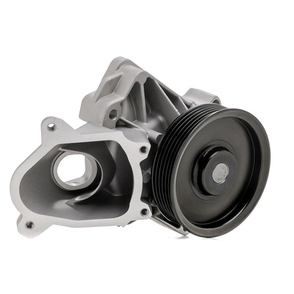 order DAYCO (DP326) Water pump