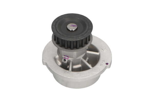 KAVO PARTS DW-1002 pompe à eau OPEL Astra G CC (T98) 1.6 (F08, F48) 75CV 2000