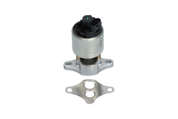 acquisto KAVO PARTS (EEG-1003) Valvola EGR