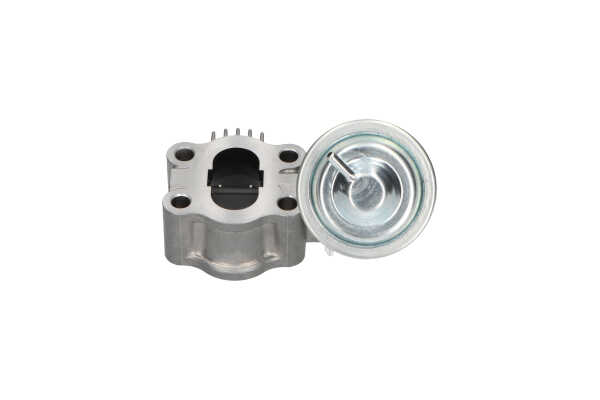 KAVO PARTS EEG-9013 AGR-Ventil Lexus IS XE2