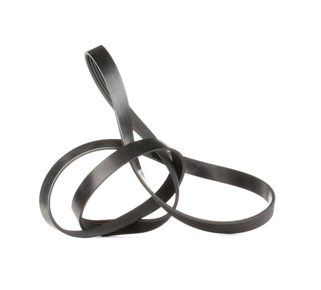 FB 6PK1698 INA 8519128 Serpentine belt