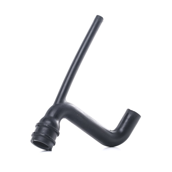 FAST FT61721 Flexible, aération de la housse de culasse FIAT Doblo 119