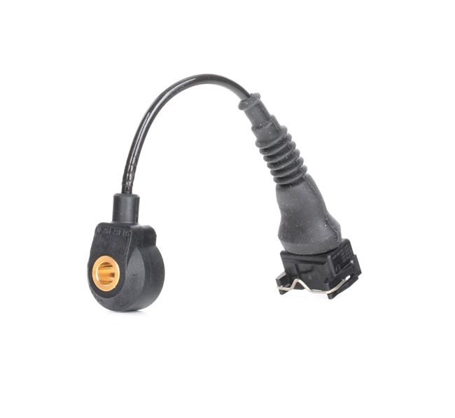 Numer OEM 12 14 1 738 667 - Czujnik spalania stukowego 0 261 231 195 BMW