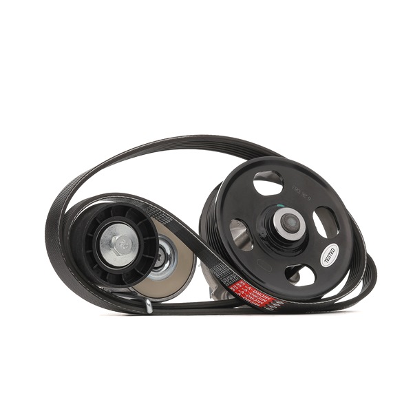 GATES | Keilrippenriemensatz mit Wasserpumpe, Micro-V® Stretch Fit™ KP26PK1320 FIAT Tipo Limousine (356) 2015 günstig online