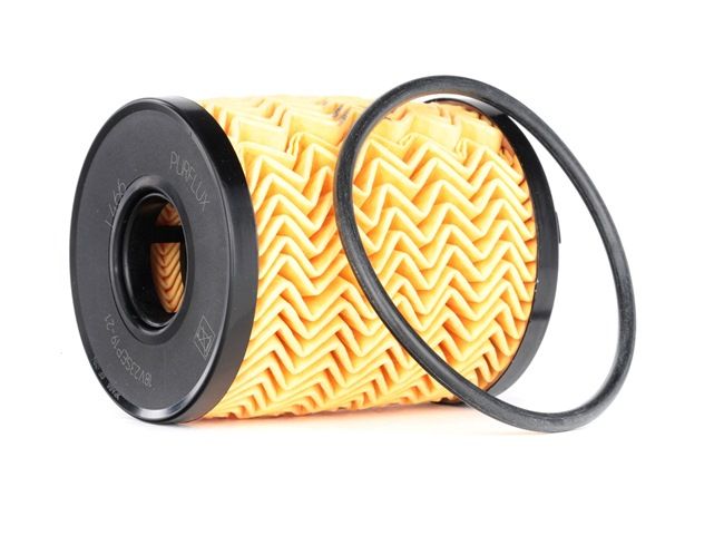 Filter für Öl L466 PURFLUX FIAT Doblo II Kombi (263) 1.3 D Multijet (263AXU1A, 263AYB1A) 2020 95 PS