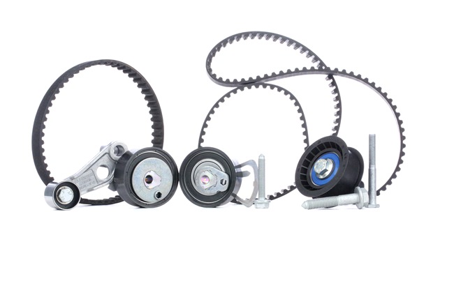 Numéro OEM 036 198 119 E - Kit de distribution 1 987 948 254 AUDI, FIAT, SEAT, SKODA