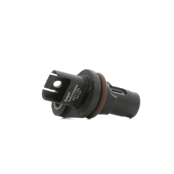 Nokkenaspositiesensor SS11123 DELPHI BMW X3 (F25) sDrive 28 i 2015 245 Pk