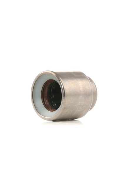 kjøpe SACHS Pilotlager Clutch 1863 869 005 for bil til en fordelsaktig pris 397,15 kr