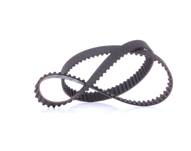 Número OEM 036 109 119 AG - Correia dentada 5565XS VW, AUDI, SEAT, VOLVO, SKODA