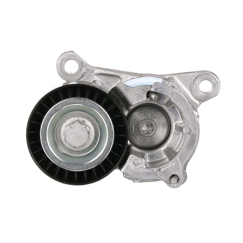 Rolo tensor, correia trapezoidal estriada T38206 GATES PEUGEOT 406 Carrinha 1.8 16V 2004 116 cv