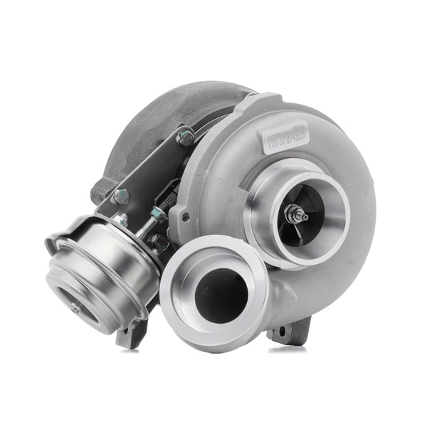 Numero OEM 612 096 05 99 80 - Turbina SKCT-1190079 BMW, MERCEDES-BENZ, AUDI, OPEL, RENAULT