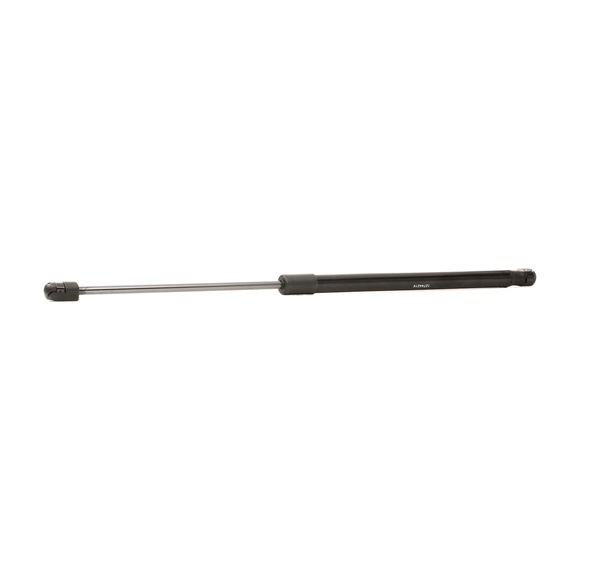 STARK SKGS-0220760 boot struts Volkswagen Golf II Hatchback (19E, 1G1) 1.3 55hp 1987