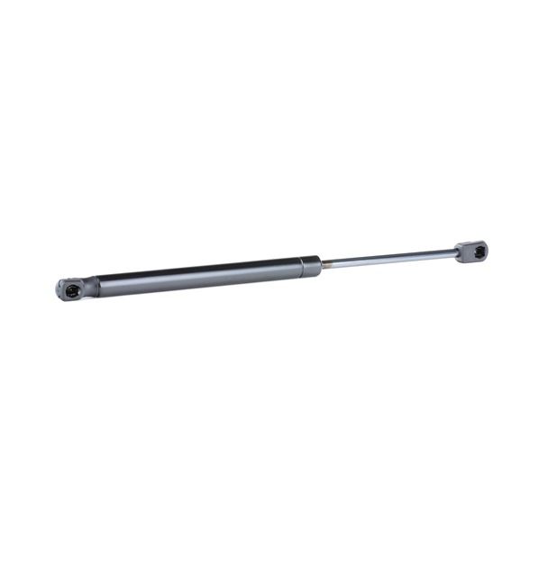 Pièces de carrosserie MINI Aceman (J05): Vérin de coffre RIDEX 219G0718
