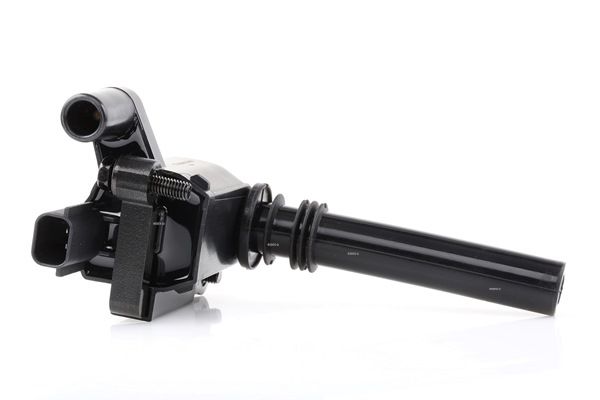Bobines 689C0312 RIDEX CHRYSLER 300C Sedan (LX, LE) 5.7 2004 340 Pk