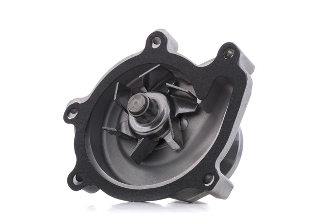 1260W0259 RIDEX 1610029125 Water pump