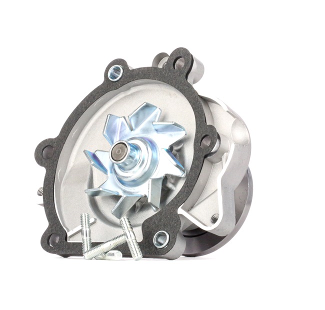 acquisto RIDEX (1260W0276) Pompa acqua