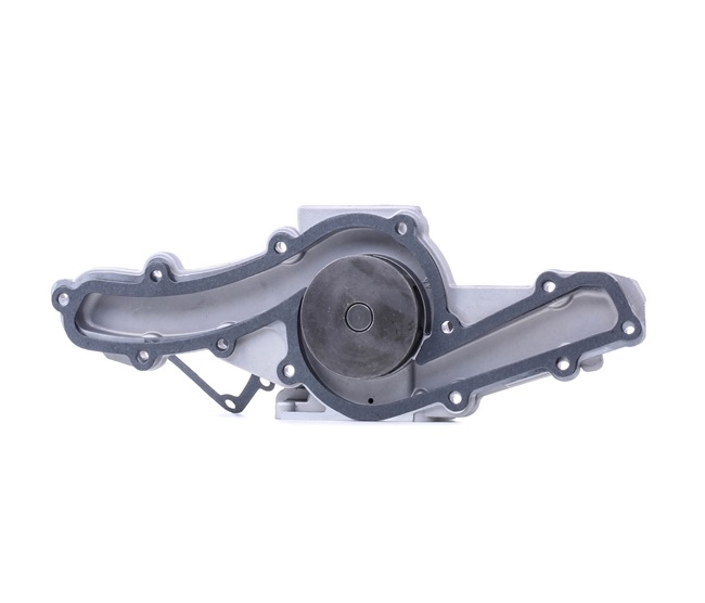 acheter RIDEX (1260W0300) Pompe à eau