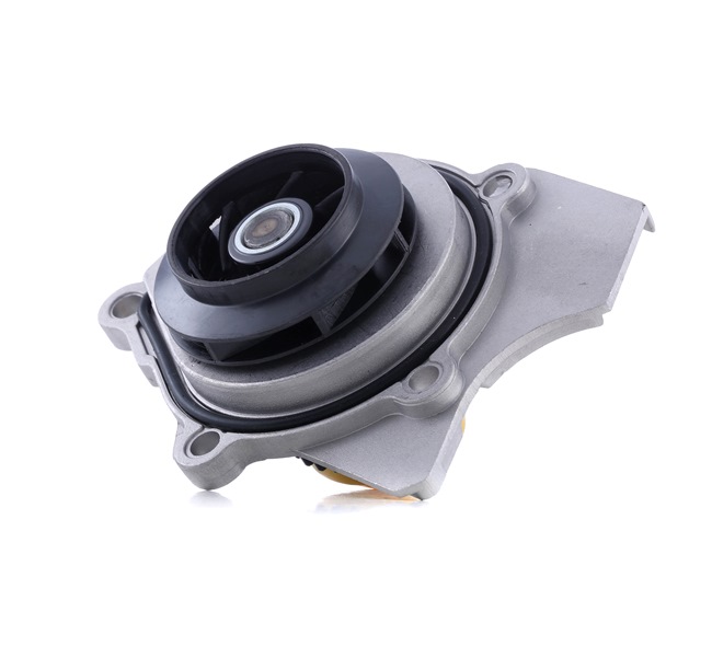 1260W0313 RIDEX 06H121026AB Water pump