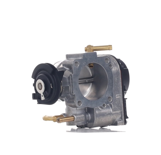 Gasklep 158T0110 RIDEX Volkswagen New Beetle Hatchback (9C1, 1C1) 2.0 1998 115 Pk