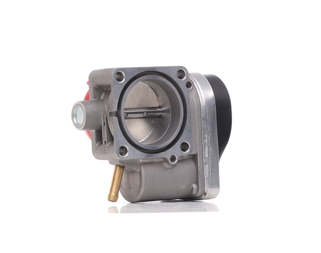 Gasklep 158T0121 RIDEX MINI Hatchback (R50, R53) 1.6 One 2001 90 Pk