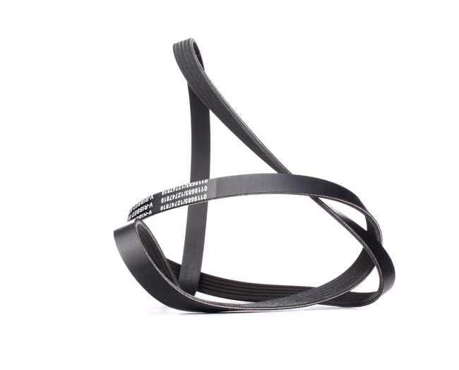 STARK SKPB-0090248 Serpentine belt VAUXHALL Astra Mk7 (K) (B16) 1.0 105 hp Petrol 2016