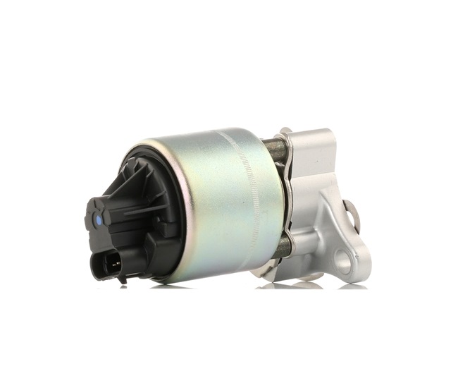 RIDEX 1145E0162 Chevrolet Aveo T250 egr valve replacement cost