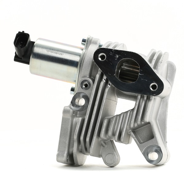 STARK SKEGR-0770178 EGR valve RENAULT MEGANE 2 (BM0/1, CM0/1) 1.9 dCi 131 hp Diesel 2006