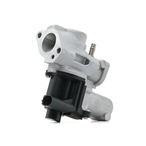 STARK SKEGR-0770215 EGR valve Volkswagen Touareg (7LA, 7L6, 7L7) 3.0 V6 TDI 240 hp Diesel 2007