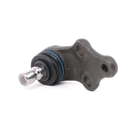 kopen online RIDEX Fuseekogels 2462S0281 Hyundai 12,84 €