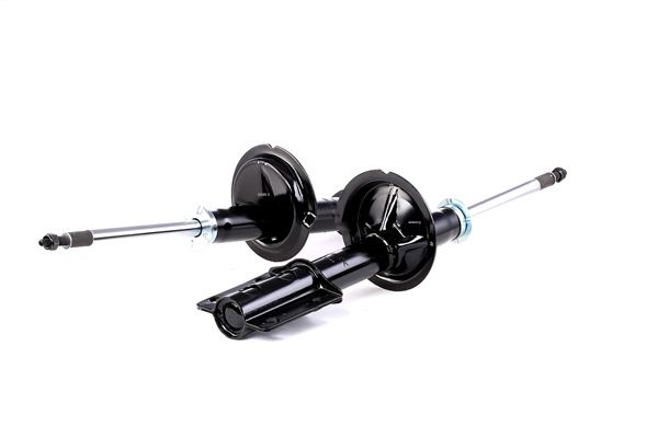 RIDEX 854S1969 amortisseur CITROËN C3 I 3/5 portes (FC, FN) 1.4 i 73CV 2009