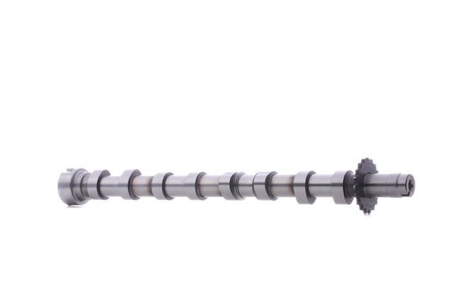 RIDEX 566C0017 Nockenwelle CITROËN AX Schrägheck