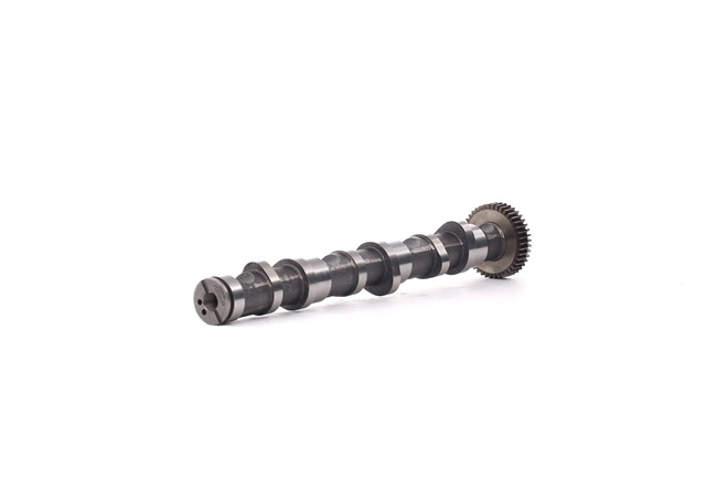 Nokken-as 566C0039 RIDEX Volkswagen Passat B5 GP Variant (3BG, 3B6) 2.5 TDI 4motion 2004 180 Pk