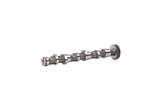 Nokken-as 566C0043 RIDEX Volkswagen Passat B5 GP Variant (3BG, 3B6) 2.5 TDI 4motion 2003 180 Pk