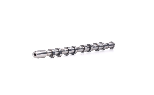 Nokken-as 566C0048 RIDEX Volkswagen Passat B6 Variant (3C5) 2.0 TFSI 2006 200 Pk