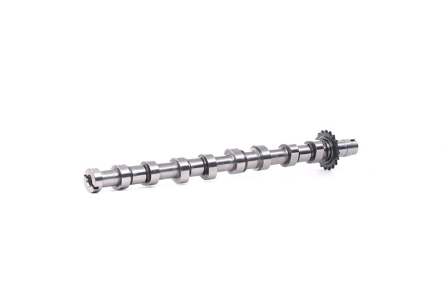 STARK SKCMS-1000058 arbre à came FIAT Scudo I Break (220) 2.0 JTD 16V 109CV 2003