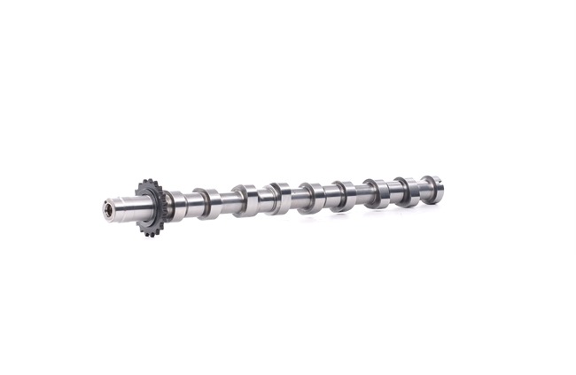 RIDEX 566C0059 arbre à came FIAT Scudo I Break (220) 2.0 JTD 16V 109CV 2002