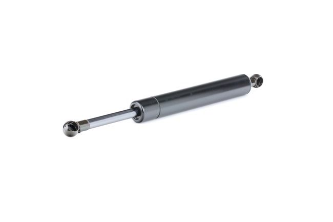 RIDEX 219G0806 boot struts MERCEDES-BENZ R-Class (W251, V251) R 320 CDI 3.0 4-matic (251.125) 211hp 2006