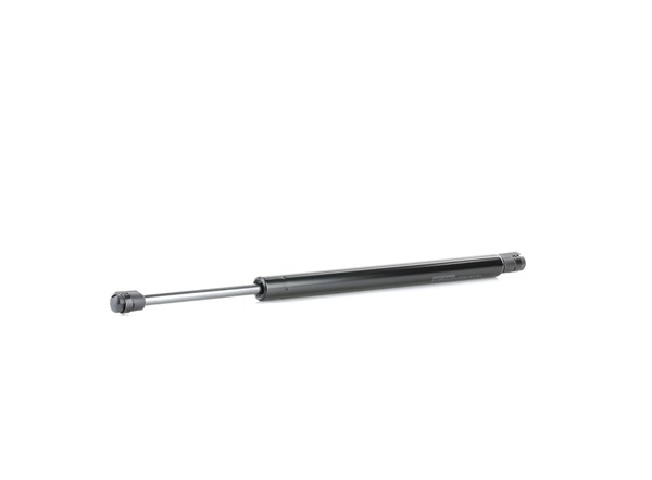 Gasfjäder till baklucka 219G0826 RIDEX CHRYSLER 300C Touring (LX, LE) 2.7 2007 177 hk