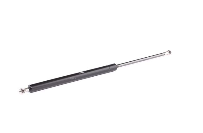 STARK SKGS-0220901 Boot struts MITSUBISHI SPACE WAGON (N9_W, N8_W) 2.4 GDI 147 hp Petrol 2004
