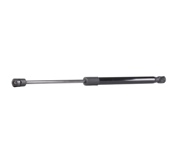 RIDEX 219G0855 Boot struts Volkswagen Passat Saloon (362) 2.0 TDI 4motion 140 hp Diesel 2014