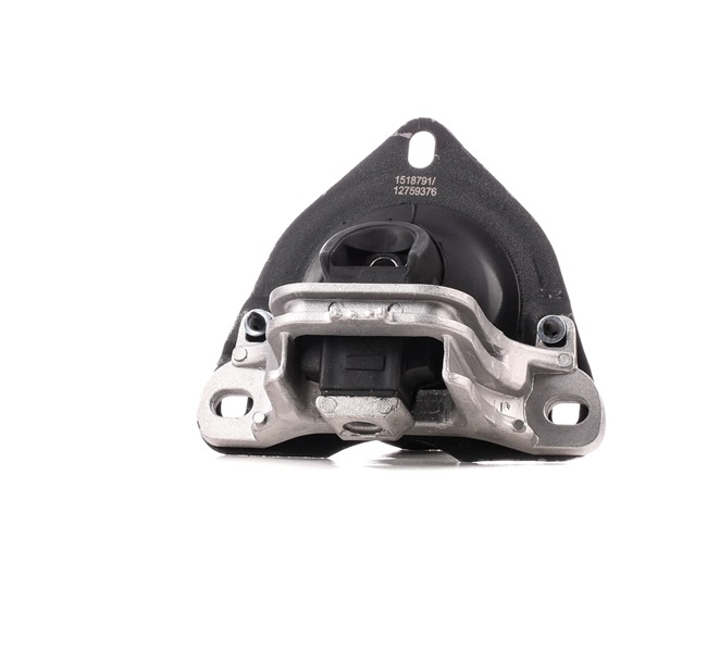 köpa RIDEX (247E0281) Motorkudde