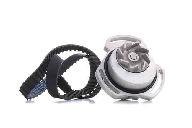 Zahnriemensatz mit Wasserpumpe SKWPT-0750158 STARK VW Polo II Classic (86C, 80) 1.0 1989 45 PS